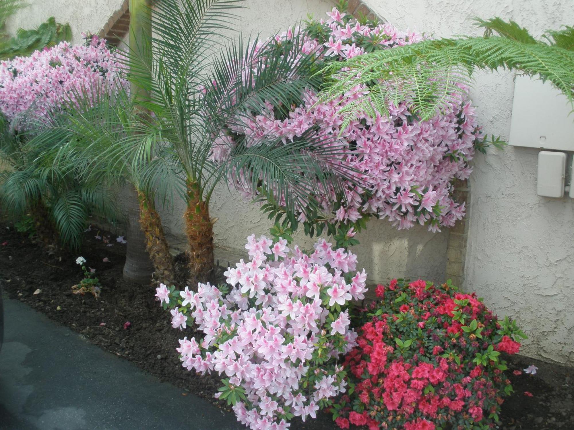 Garden Inn And Suites Glendora Buitenkant foto